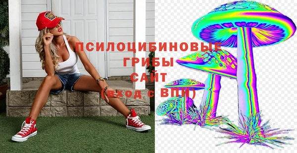 MDMA Premium VHQ Аркадак