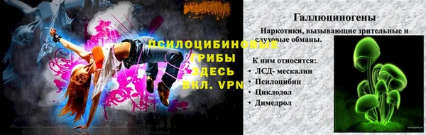 мяу мяу мука Арсеньев