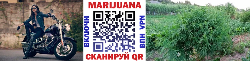 KRAKEN ТОР  Лебедянь  Канабис индика  где можно купить  